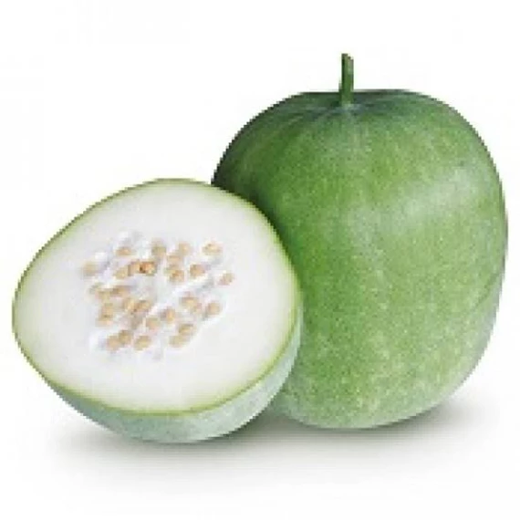 ash gourd
