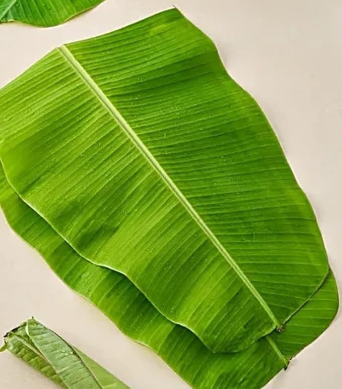 banana leaf