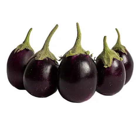 brinjal 500 grams