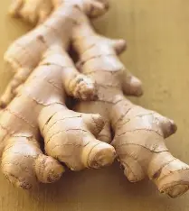 ginger