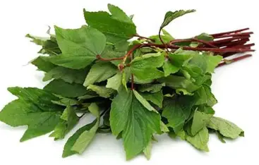 gongura