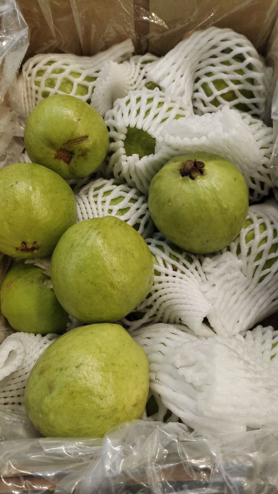 india guava 1kg