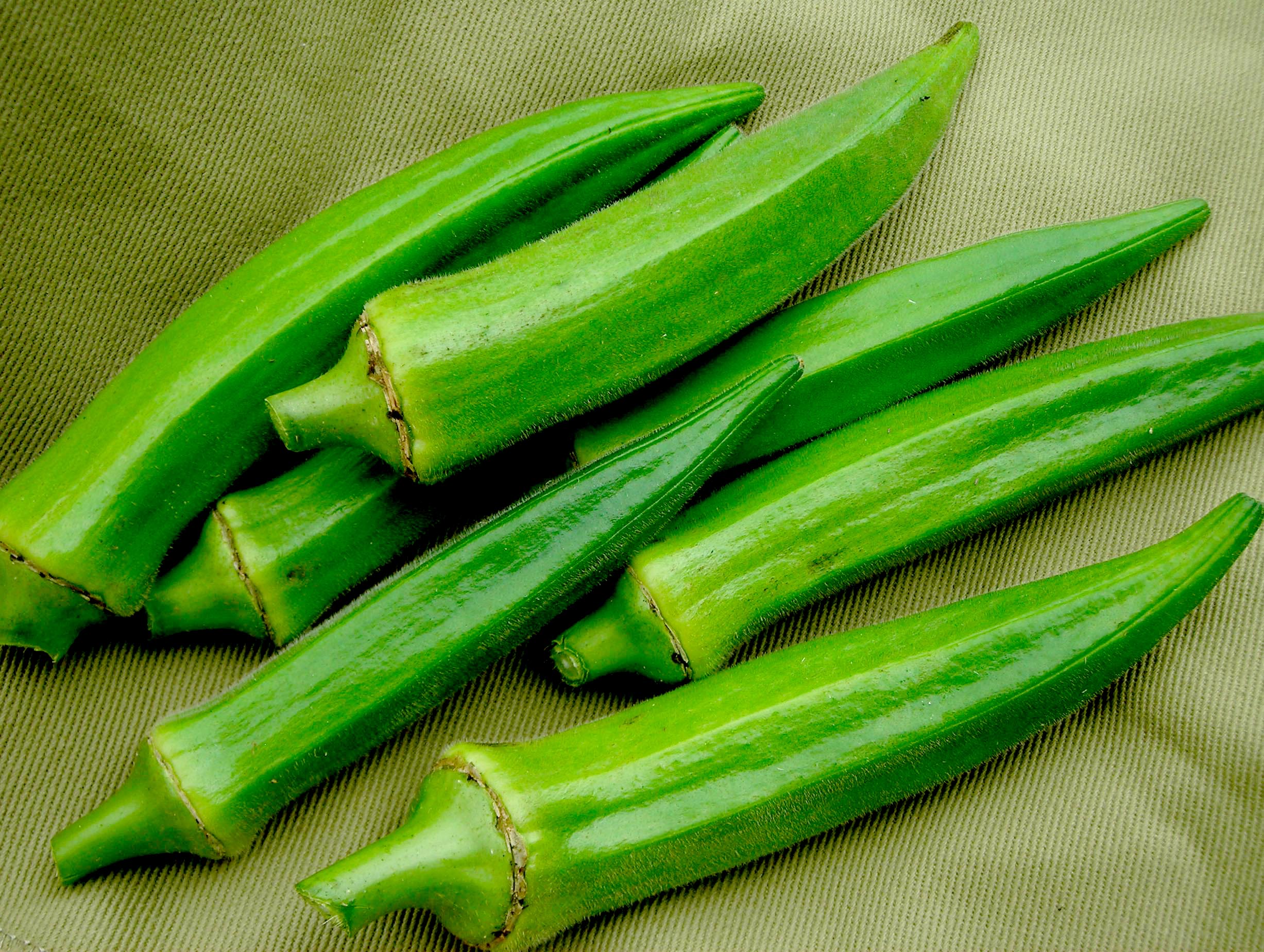 okra-lee_LRG