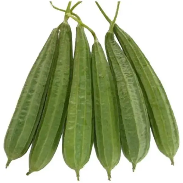 ridge_gourd_500g